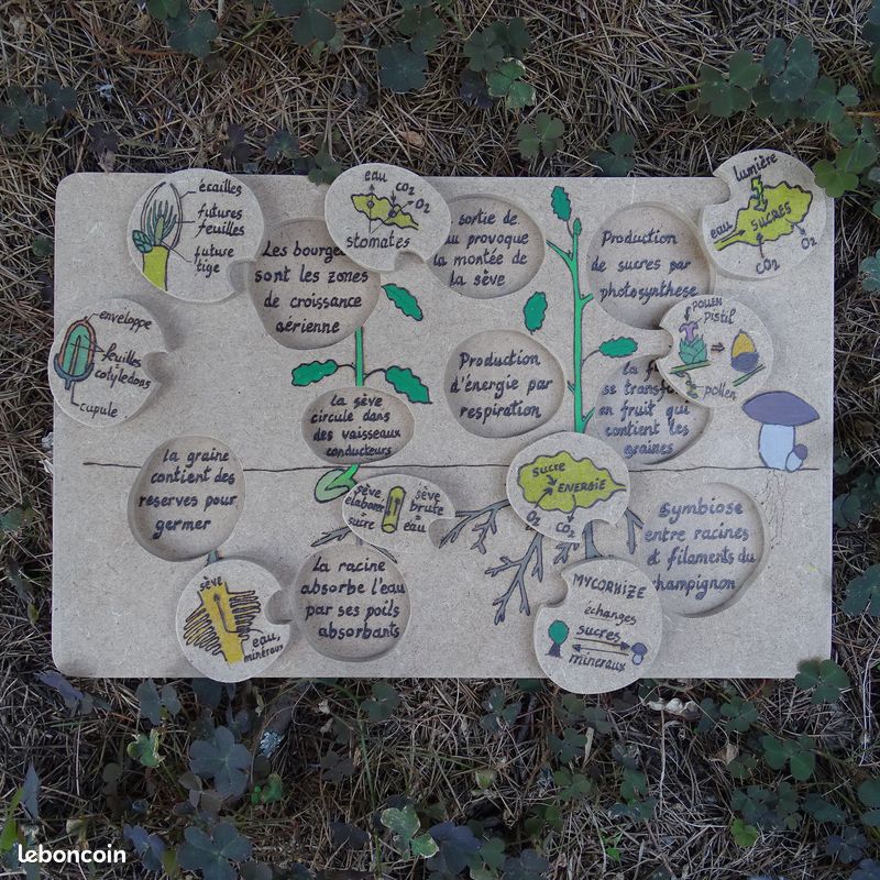 [Fait main][NEUF] Puzzle / jeu d'encastrement feuilles d'arbre, animaux, plantes (image 8)