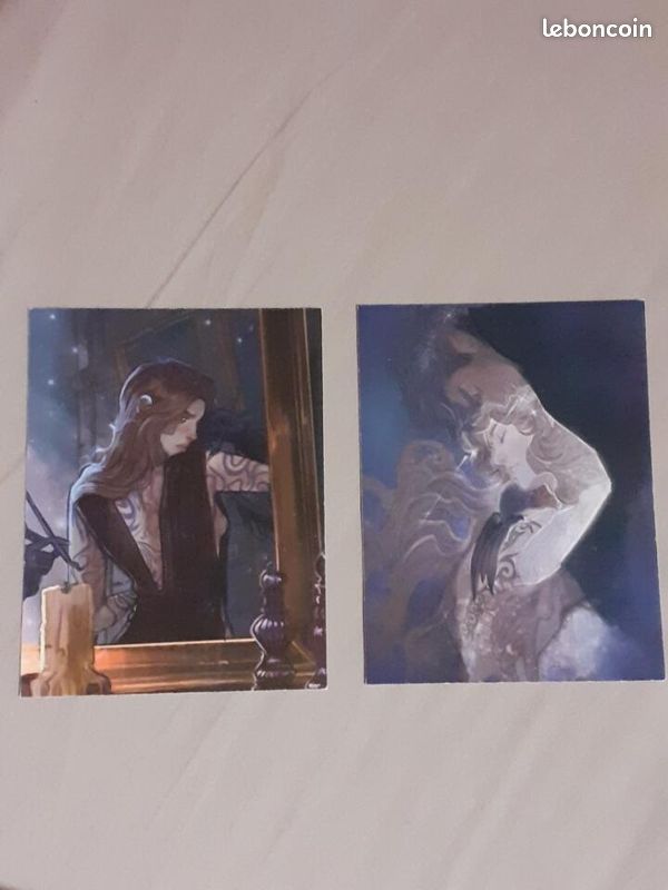 Cartes ACOTAR / Un Palais d'Epines et de Roses - Sarah J Maas (image 3)