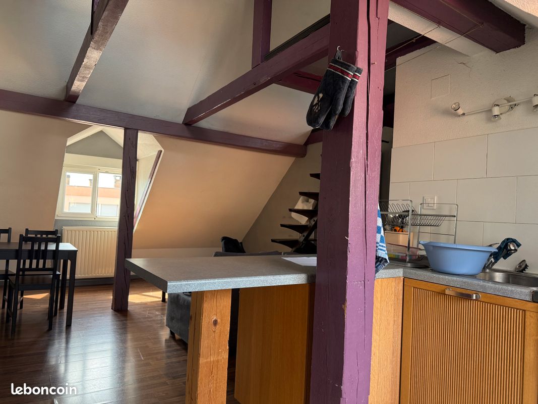 Appartement 2 pièces 66 m² · à Strasbourg · 66 m² · 680 €