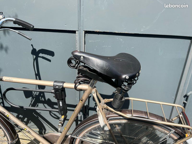 Vélo hollandais Gazelle Tour Populaire Homme (image 4)