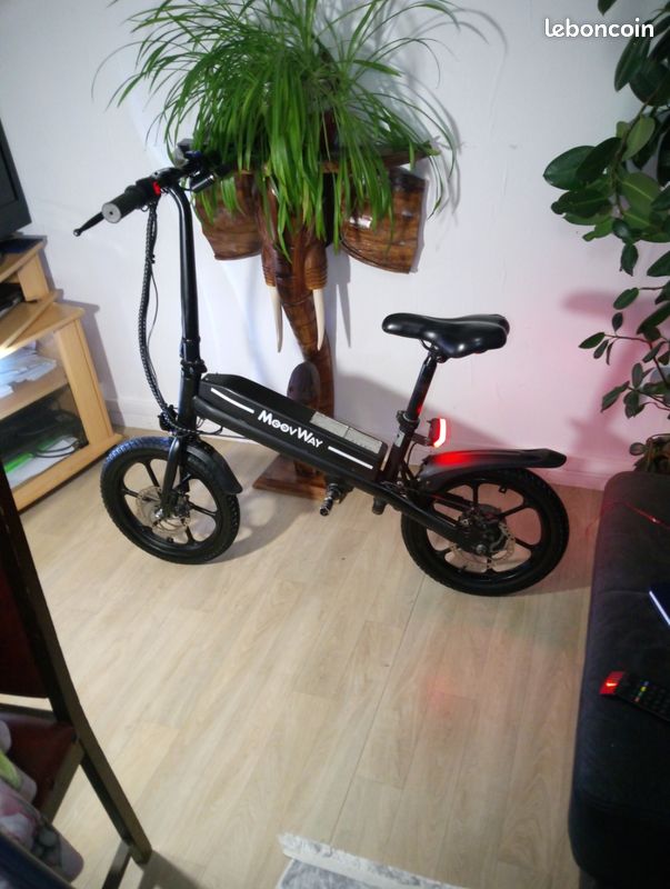 Draisienne electrique (image 5)