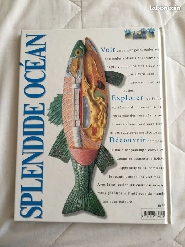 Livre "Splendide océan " de Macquitty, Miranda (image 2)