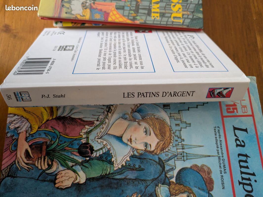 Livre: les patins d'argent (image 3)