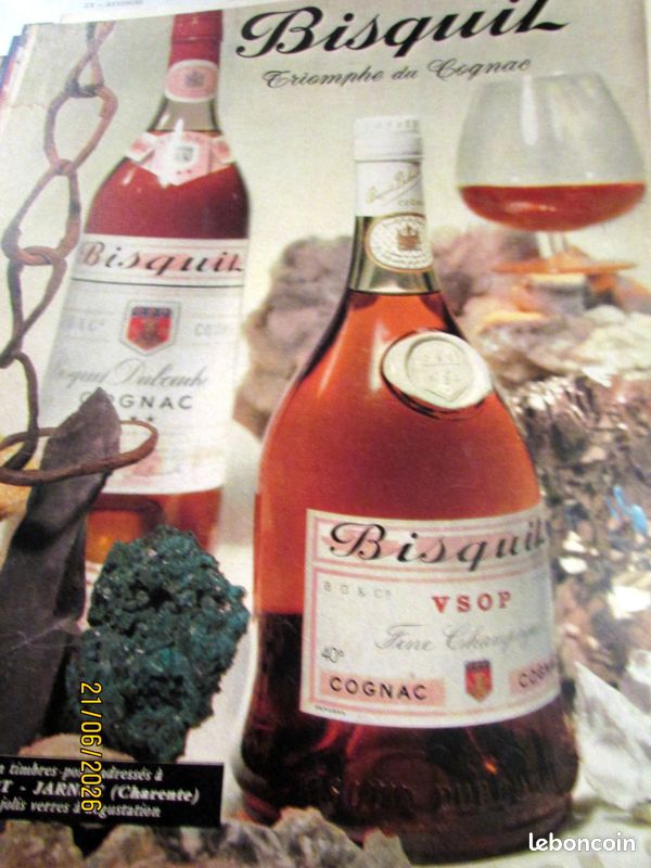 Alcool rhum cognac liqueur byrrh lot de v20 publicites anciennes (image 16)