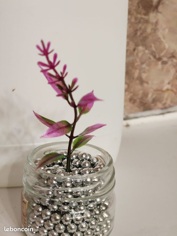 Plante artificielle pour décoration (image 2)