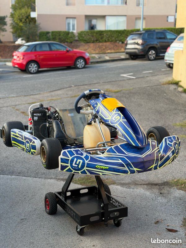 Ln kart rotax max (image 1)