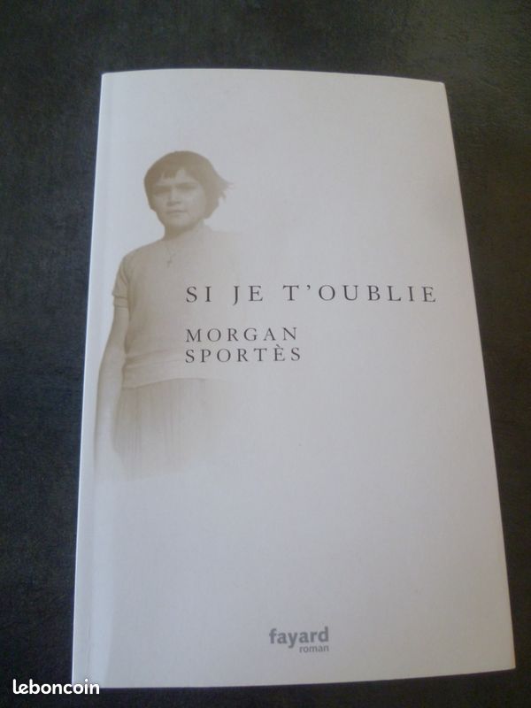 Livre récent : "Si je t'oublie" de Morgan Sportès (image 1)