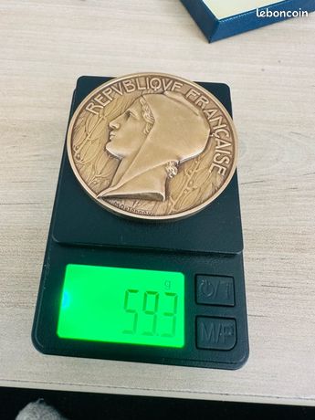 Grande Médaille Bronze 1988 Par Gérard Mannoni Pour EDF