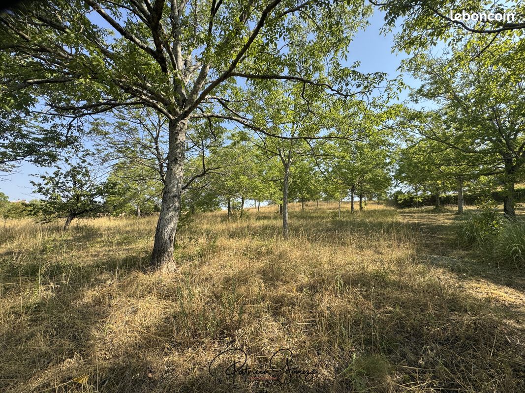 Terrain 3514 m² · à Castres · 3 514 m² · 149 000 €