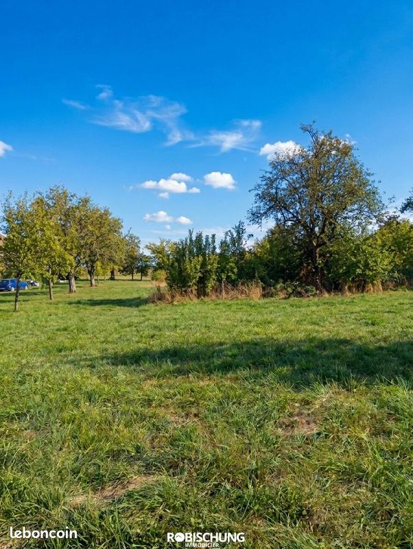 Terrain 2008 m² · à Tagsdorf · 2 008 m² · 190 000 €