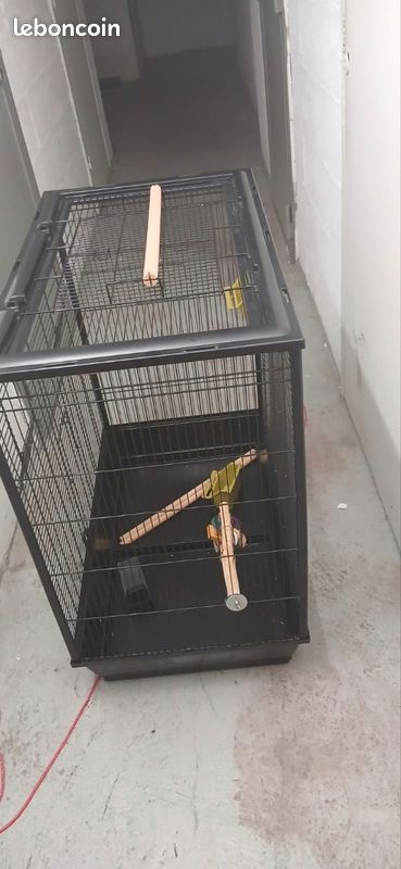 Cage pour perruches (image 3)