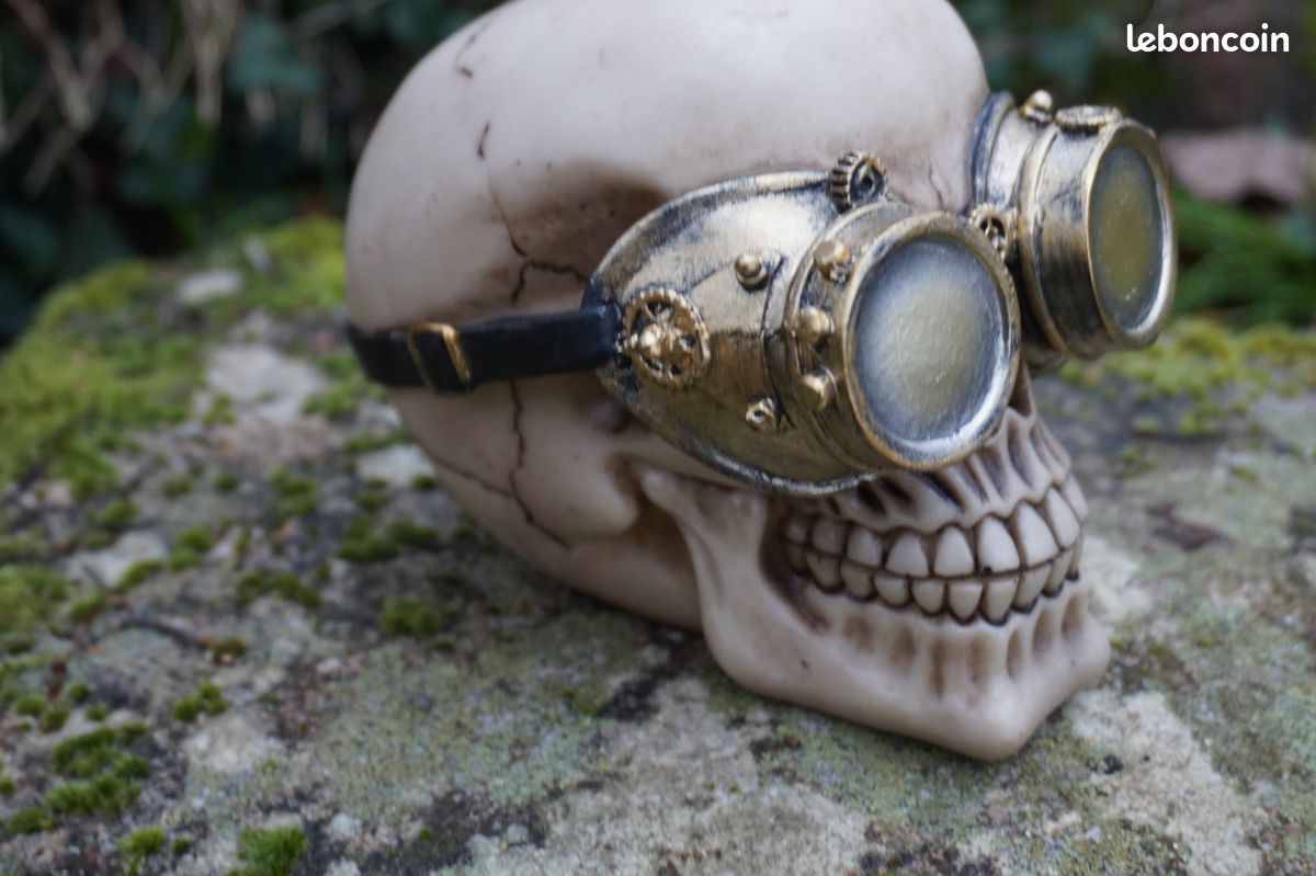 Tete mort figurine crane avec lunette steampunk gothique Décoration