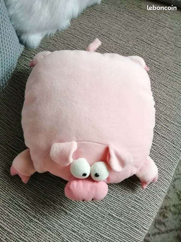 Coussins (image 2)