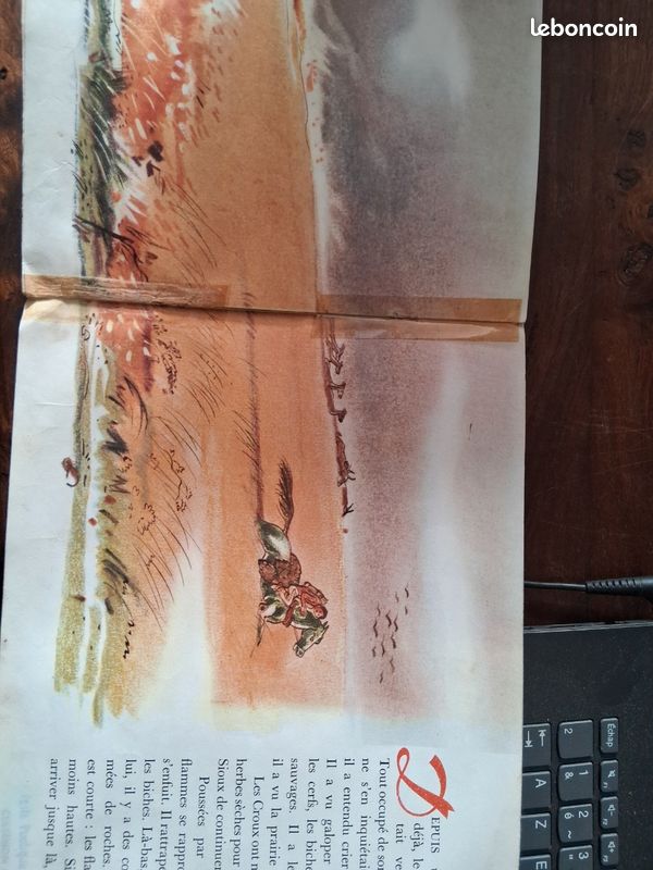 Amo le peau rouge (image 2)