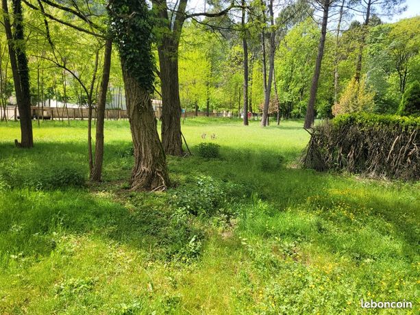 Terrain 3 500 m² Peyremale
