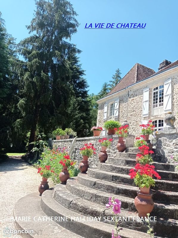 Château 7 pièces 333 m² (image 9)