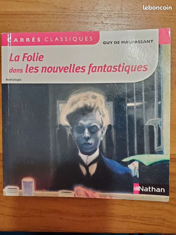 La Folie dans les nouvelles fantastiques, Guy de Maupassant (image 1)