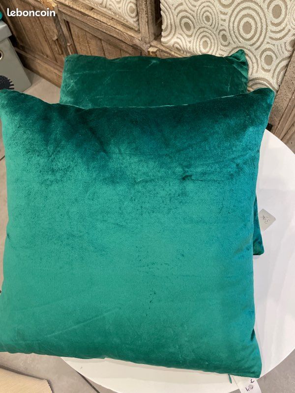 Lot de 2 coussins scarabée dorée (image 2)
