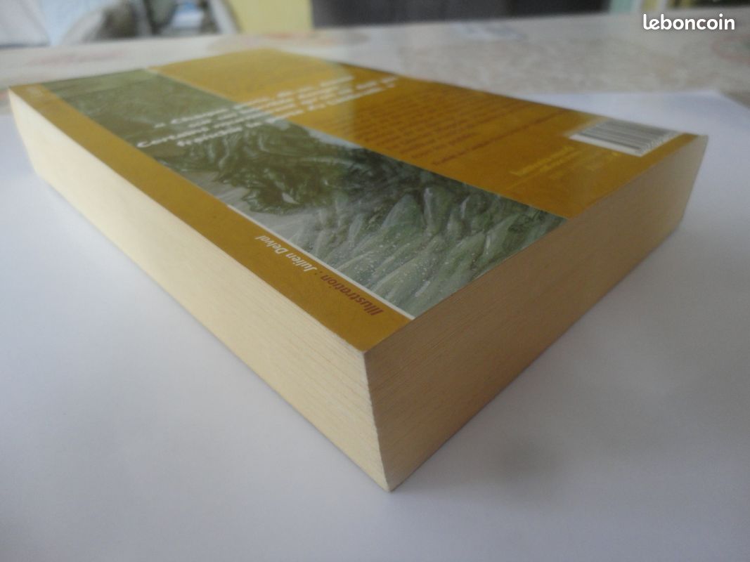 Megan lindholm / la porte du limbreth / mnemos (image 13)