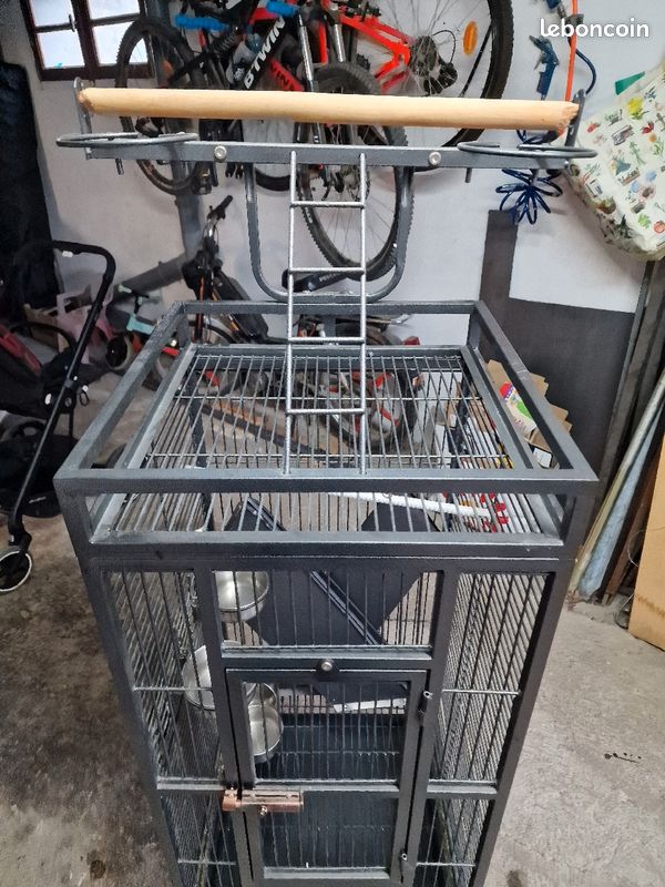 Cage perroquet\peruche (image 2)