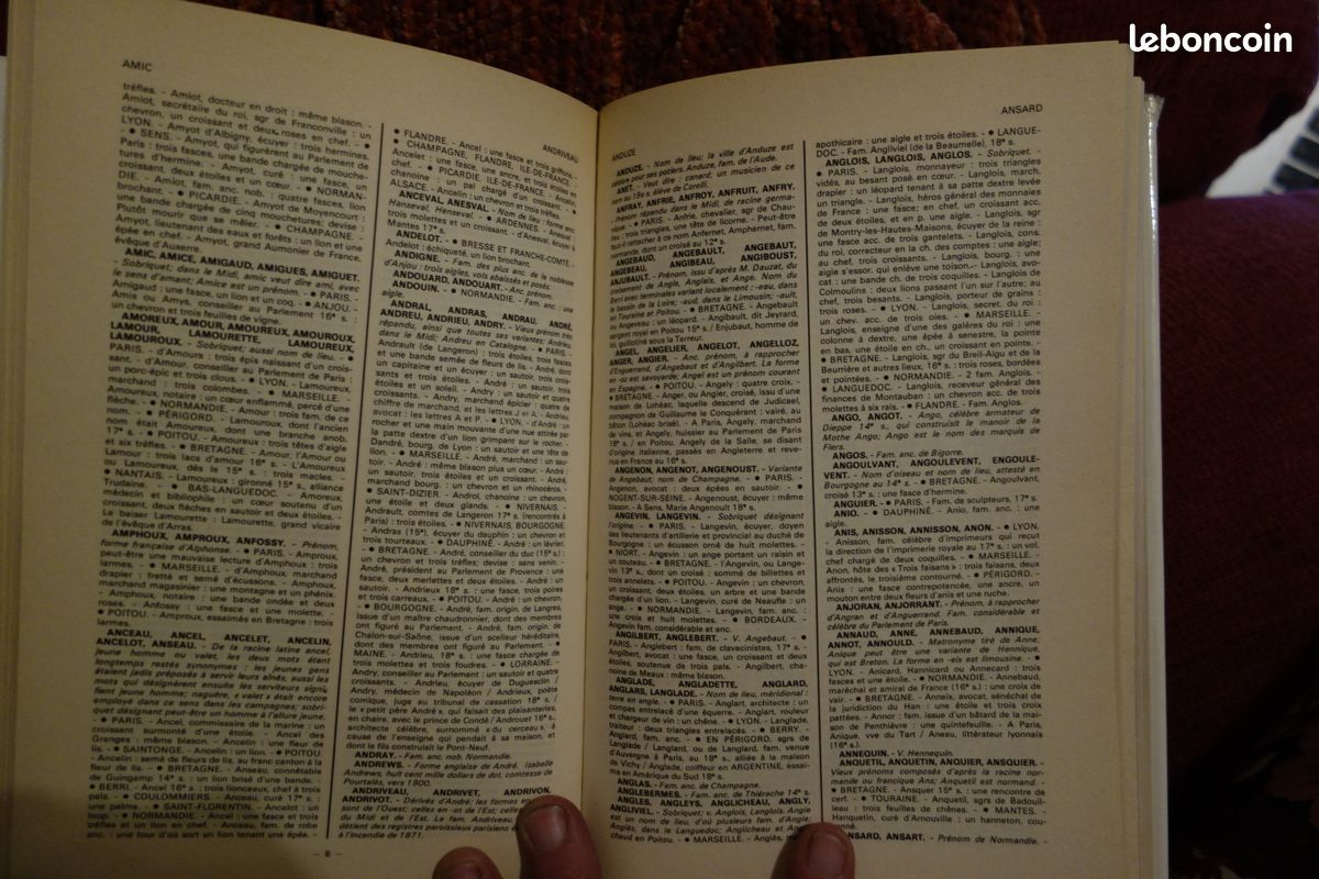 Dictionnaire armorial des noms de famille de france (image 3)