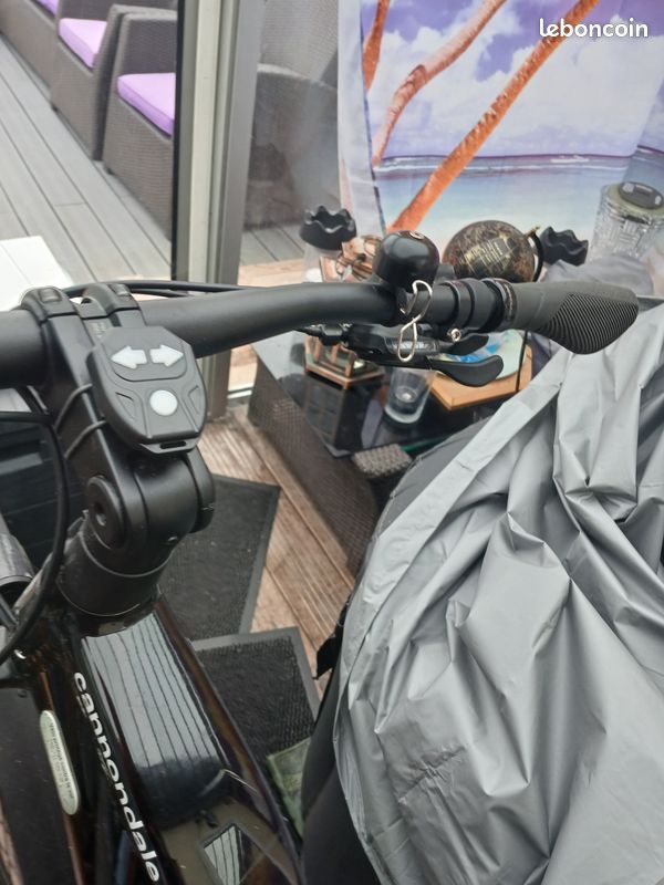 Velo electrique (image 2)