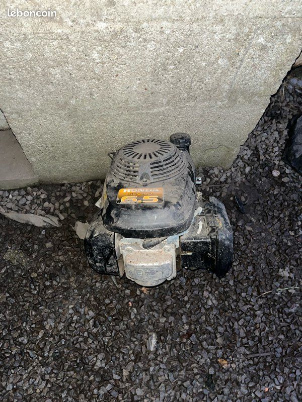 Moteur tondeuse (image 1)