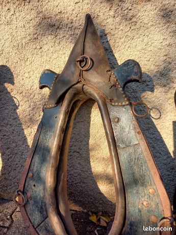 110 melleures dées sur Selles pour chevaux | selles, cheval, equpement cheval