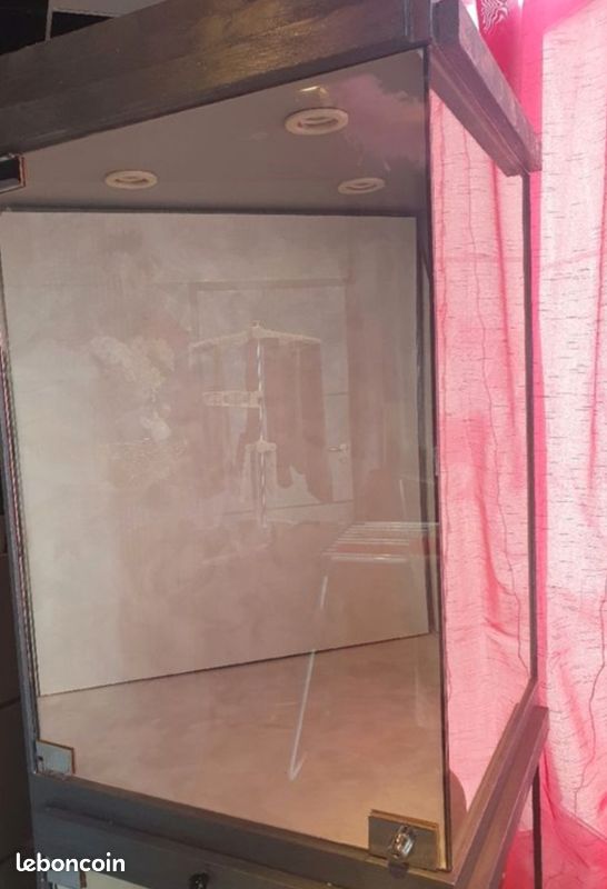 Vitrine avec éclairage (image 2)
