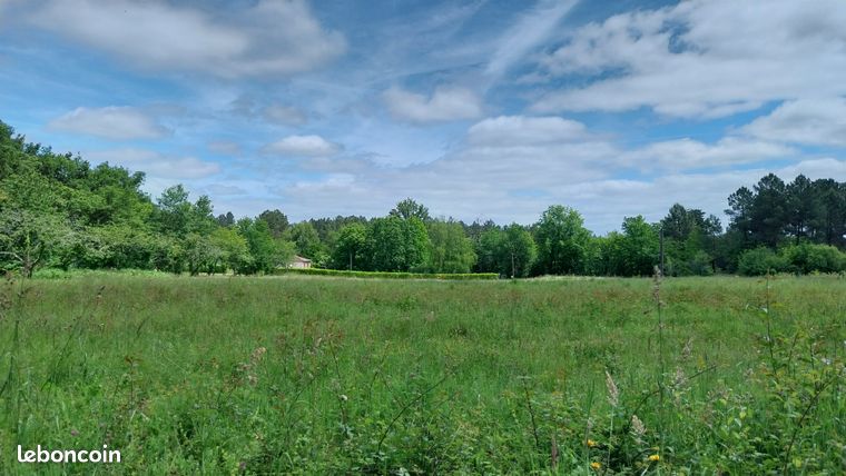 Terrain 18003 m² Bussac