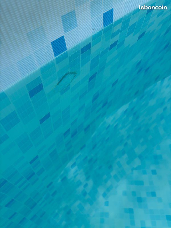 Piscine Bestway 457 x 122 (image 7)