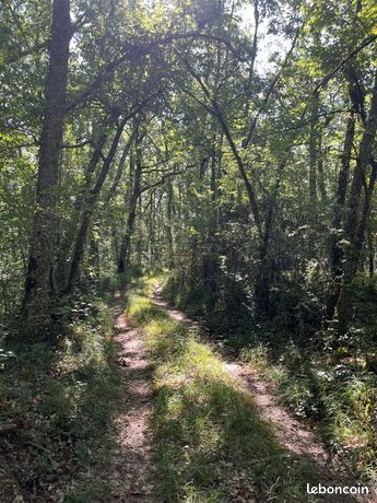 Forêt à vendre Gers