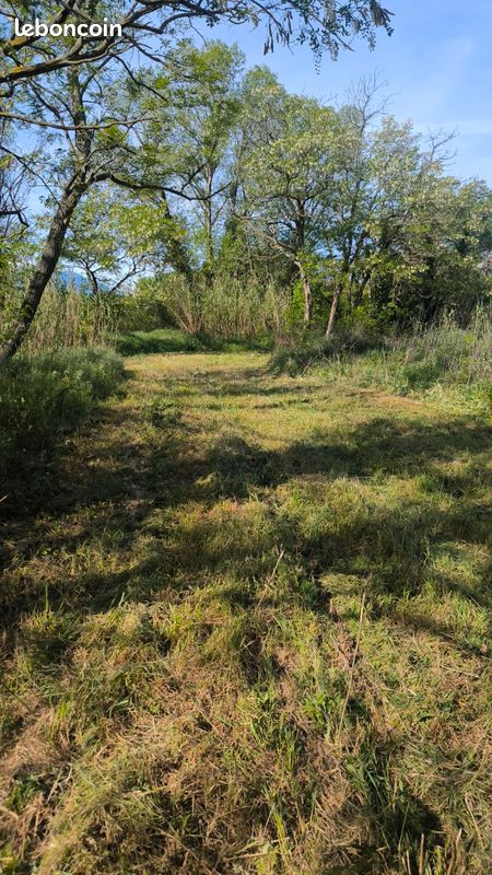 Terrain de loisirs · à Ille-sur-Têt · 17 000 €