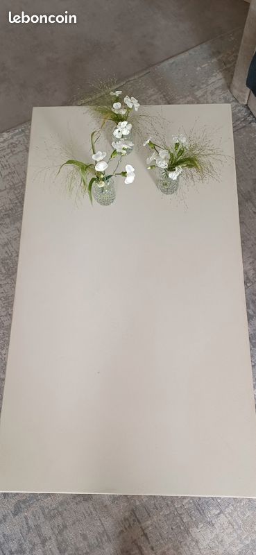 Table de salon (image 4)