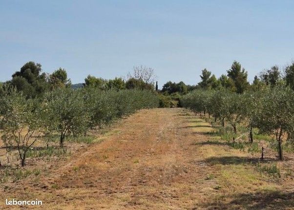 Oliveraie · à Olonzac · 17 000 €