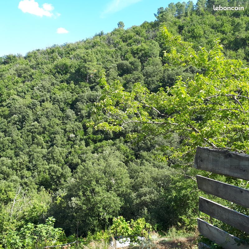 Emplacement pour tente (image 8)