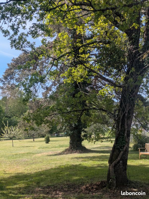 2 terrains -Le Poinçonnet - calme et qualité de vie · 59 000 €