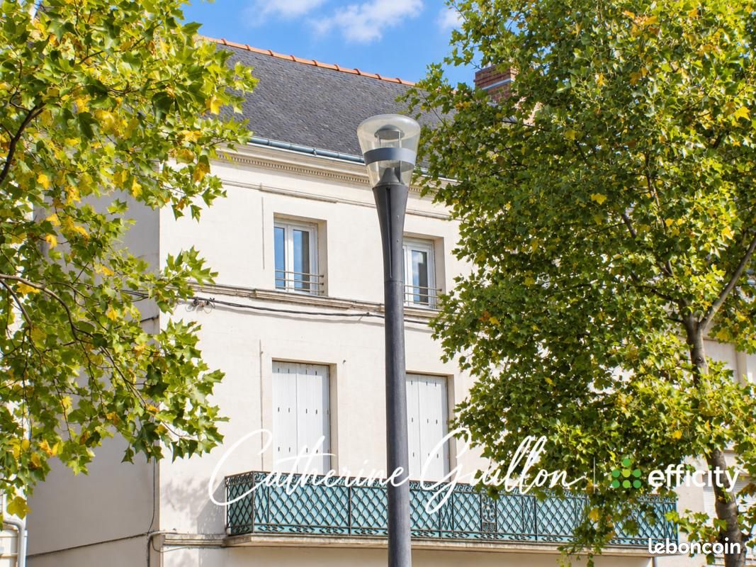 Immeuble 8 pièces 258 m² · à Châtellerault · 258 m² · 477 000 €