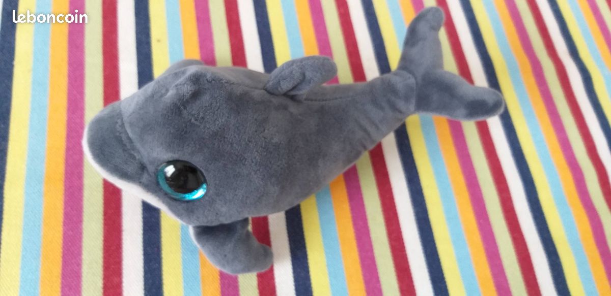Dolphin aux yeux bleus brillantes (image 3)