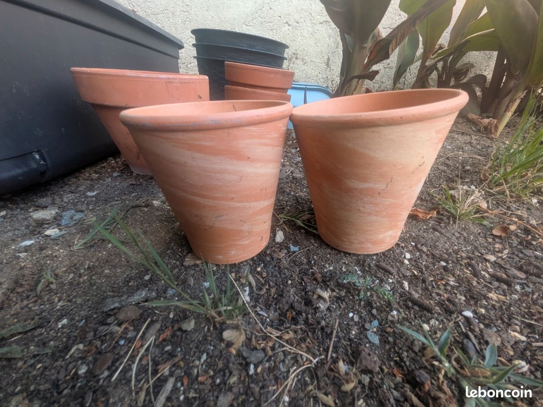 Pot de fleurs (image 1)