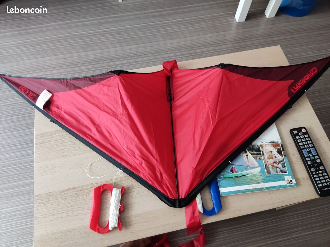 Grand cerf-volant trilobite - La Boutique du Cirque