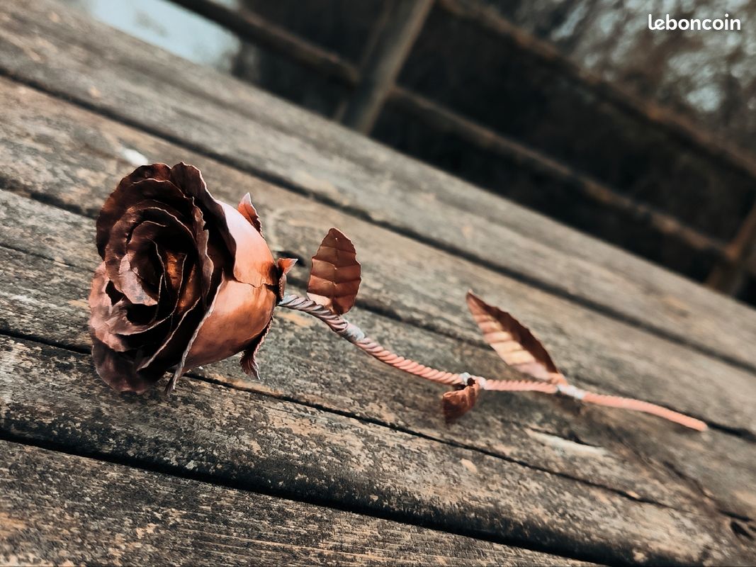 Roses en cuivre (image 5)