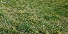 Terrain à bâtir de 1093 m² à BEUVRAIGNES (80) · 25 000 €