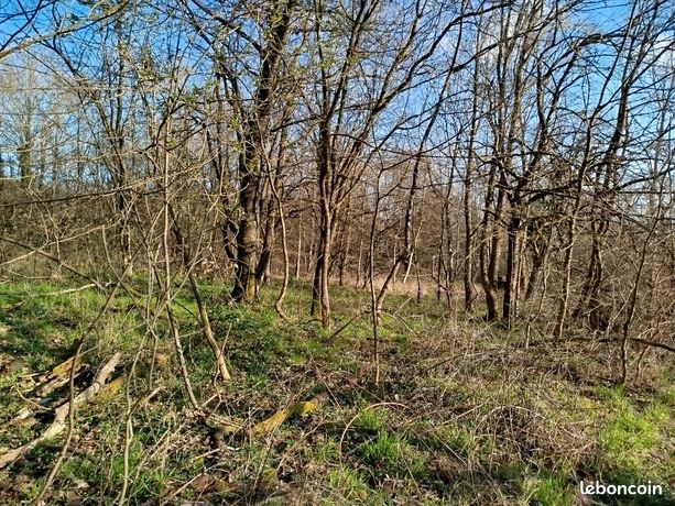 Terrain de loisirs