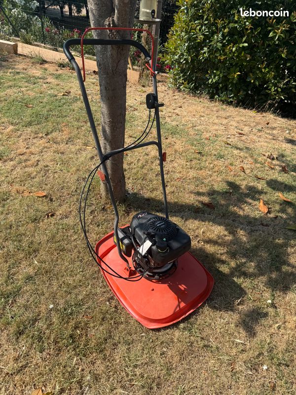 Tondeuse Flymo XL 500 Jardin Plantes