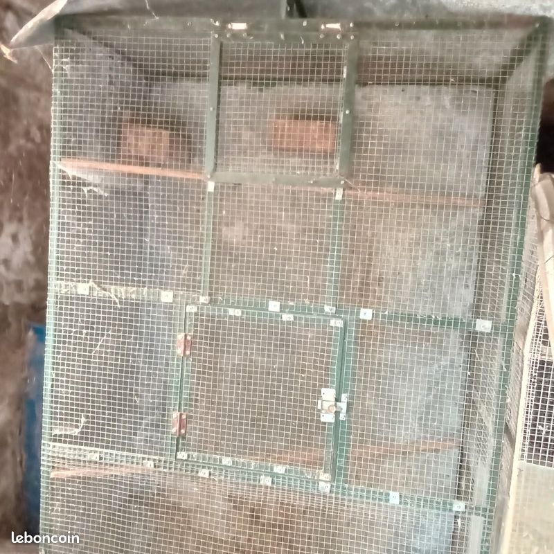 Cage à oiseaux (image 2)