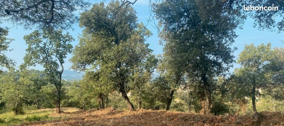 Terrain 341 m² · à Mondragon · 59 900 €