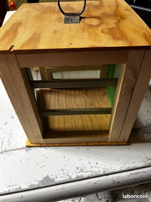 Garde manger neuf en hêtre (image 6)