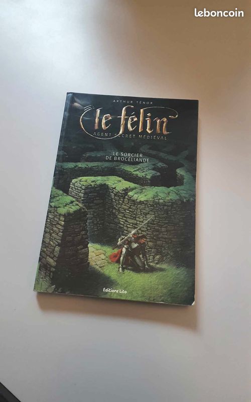Le Félin, agent secret médiéval : Le sorcier de Brocéliande (image 2)