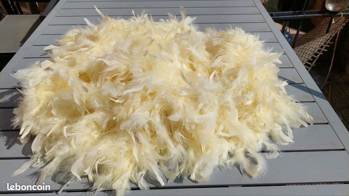 Lot De 100 Plumes 5 Pouces Coupe Parabolique Aile Droite
